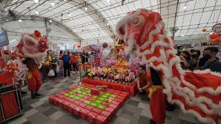 星洲龍獅體育會 Singapore Dragon amp Lion Athletic Association Lion Cai Qing Performances at NTUC Bedok 7123 [upl. by Yesoj]