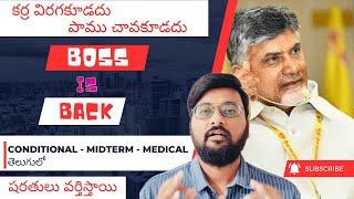 Chandrababu Naidu gets midterm bail explained in Telugu  Bail conditions ఎంటి [upl. by Fagaly]