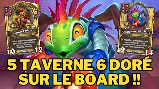 5 TAVERNE 6 DORE SUR LE BOARD   Hearthstone Battlegrounds Top Europe [upl. by Bearnard287]