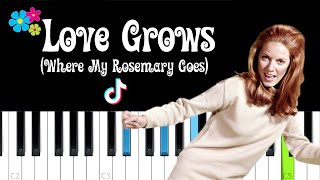 Edison Lighthouse  Love Grows Where My Rosemary Goes Tiktok song Piano tutorial [upl. by Eytak]