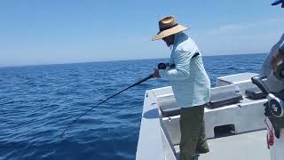 Tom Hryniuk 2 Cedros Island July 2024 [upl. by Farny]