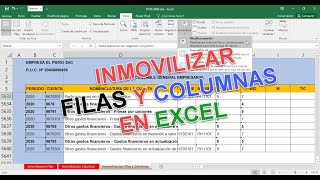 Inmovilizar Celdas y Columnas en Excel [upl. by Bilbe]