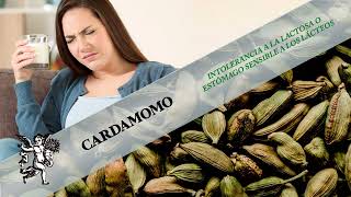 ¡DESCUBRE EL PODER DE LA SEMILLA DE CARDAMOMO LLENA DE ANTIOXIDANTES QUE MEJORAN TU DIGESTIÓN [upl. by Nodmac993]