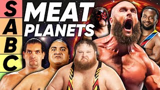 TIER LIST Wrestlings MEAT PLANETS [upl. by Oimetra152]