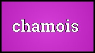 Chamois Meaning [upl. by Talyah]