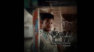 Sadiq Saleh  Fuskar kwandala  Official Audio [upl. by Lydnek]