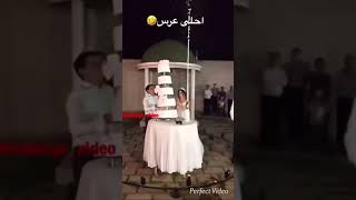 الكيك وقع عالعريس🤣😁explore فولومي العراق سوريا [upl. by Aisenet74]