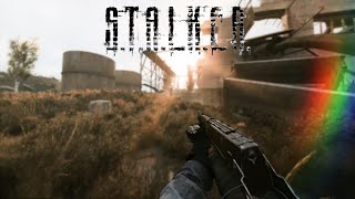 This Is A Dream Come True  STALKER Anomaly Custom [upl. by Atteuqcaj884]