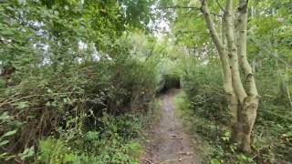 4K60FPSHIRES🚶Circular walk at Llwyni Common Connahs Quay🚶 September 21st 2024 [upl. by Fahy990]