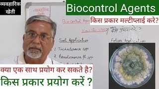 3755 Biocontrol Agents को प्रयोग करने का तरीका। कैसे मल्टीप्लाई करे [upl. by Adliwa]