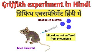 Griffith experiment in Hindi  ग्रिफिथ एक्सपेरिमेंट हिंदी में  Transformation [upl. by Lister]