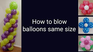 How to blow balloons same size easily starartscrafts2064 [upl. by Leumek]