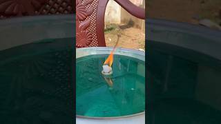 FIRE🔥🆚💦WATER experiment telugu hindi andhrapradesh odisha amma [upl. by Ahidam]