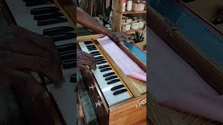 how to use ordinary double reed harmonium NewNathamHarmonium [upl. by Aierb]