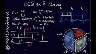 ECG en 8 étapes  Docteur Synapse [upl. by Gilford]