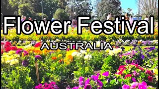 Festival de las Flores Toowoomba Flower Festival australia [upl. by Banna]