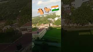 Guindy horse race area 🐴🐎 sharmaentertainment256 subscribe shortvideo [upl. by Lareena]