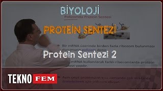 YGSLYS BİYOLOJİ  Protein Sentezi 2 [upl. by Latsyek154]