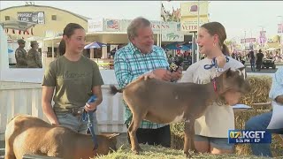 Young ranchers are presenting their animals at the Kern County Fair [upl. by Urdna316]