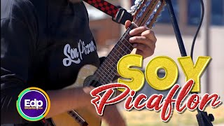 SON PIZARROS 🌼✨️SOY PICAFLOR🌻🌼 VIDEO OFICIAL 2024 [upl. by Boyt93]