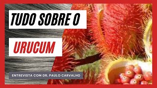 Urucum propriedades características substância histórias e como usar [upl. by Ashelman103]