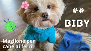 🌸 Maglione per cane ai ferri 🐶🐾🧶 Biby [upl. by Yared58]