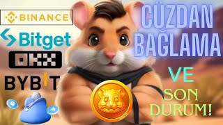 HAMSTER KOMBAT Son Durum ve Cüzdan Bağlama  hamsterkombat [upl. by Marala694]