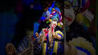 WHY YOU ARE HAPPY ALL TIME 🌝🌝BECAUSE OF RADHA KRISHNA [upl. by Akaya]