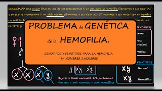 PROBLEMA GENÉTICA HEMOFILIA GENOTIPOS Y FENOTIPOS PARA LA HEMOFILIA EN HOMBRES Y MUJERES Genética [upl. by Rento368]