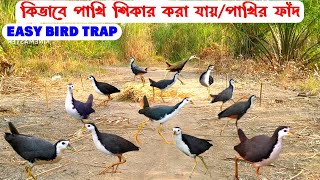 A Wonderful Way to Catch Wild Birds  Easy Bird Trap  Dahuk Pakhir Fad  Pakhi Dhorar Sohoj Upay [upl. by Airenahs]