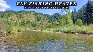 This stream is the Epitome of Perfection  3 day Backcountry Fly Fishing Trip [upl. by Zeiger]