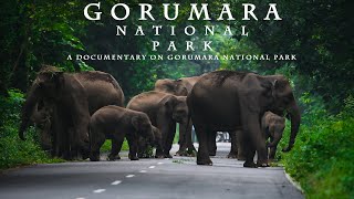 Gorumara national Park Documentary  Full Details About Its Biodiversity  Wildlife amp History [upl. by Giverin834]