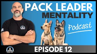 Ep 12  Q amp A Day  Barking Puppy  Reactive Rottie  Flight Risk [upl. by Wyne]