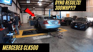 FINALLY DYNO TUNING My Mercedes CLK500 at RaceIQ Performance [upl. by Kone]