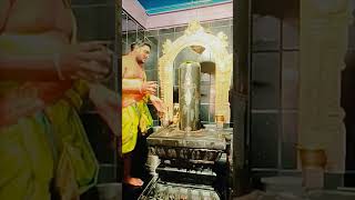 Om Namaha Sivayahindutemple templeshorts templedevotionals devotional viralvideo [upl. by Zaneta]