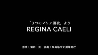 regina caeli [upl. by Darce34]