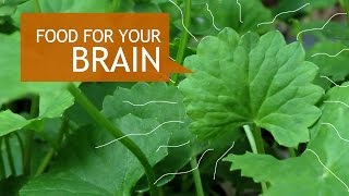 Gotu Kola Superfood Benefits  How To Grow [upl. by Naiva]