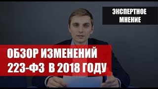 Изменения в 223ФЗ в 2018 году [upl. by Lisandra]