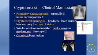 Microbiology 588 a Cryptococcus neoformans Cryptococcosis Cryptococcal meningitis Mycology Gattii [upl. by Llarret518]