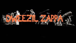 Dweezil Zappa apostrophe  Toyota Oakdale theater 08282024 [upl. by Yluj]