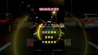 改编歌曲刀郎演唱会就怕歌词入了心 [upl. by Ailedua]