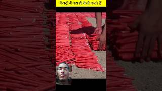 experiment crackers carnage shorts 2024 Diwali 2024 [upl. by Roinuj]