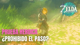 ¿PROHIBIDO EL PASO BOSQUE KOLOG PRUEBA HEROICA  Zelda Tears of the Kingdom  Guia Español [upl. by Durante706]