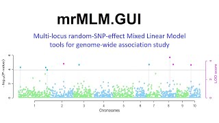 mrMLM multilocus randomSNPeffect mixed linear Model tools for genomewide association study [upl. by Yatnwahs]