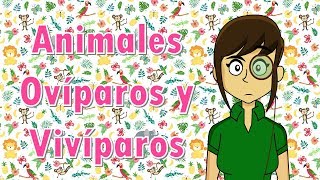 Clasificación de animales ovíparos vivíparos y ovivíparos [upl. by Bumgardner]