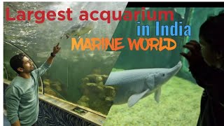 Marine world chavakkad thrissur public acquarium life acquariumfish must visit like support [upl. by Anaiviv139]