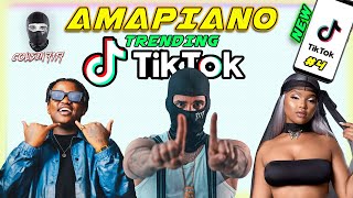 AMAPIANO TIK TOK 2023  TRENDING SONGS MIX🔥 Dalie🔥 Bhebha 20🔥Peacock🔥 Wena My Dali🔥 [upl. by Tinor174]