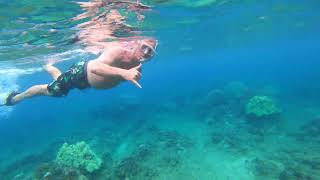 Kahekili Beach Park Snorkeling [upl. by Boak]