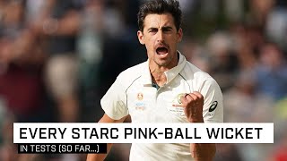 All 42 wickets taken by Mitch Starc in daynight Tests [upl. by Elvah]