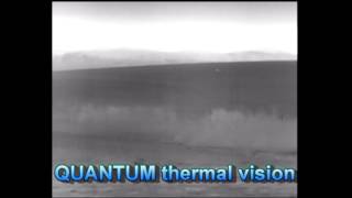 New THERMAL IMAGERS Quantum Pulsar [upl. by Nihcas]